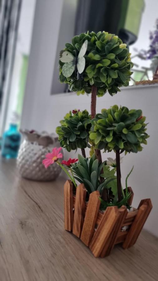 Apartament Daria Năvodari Buitenkant foto